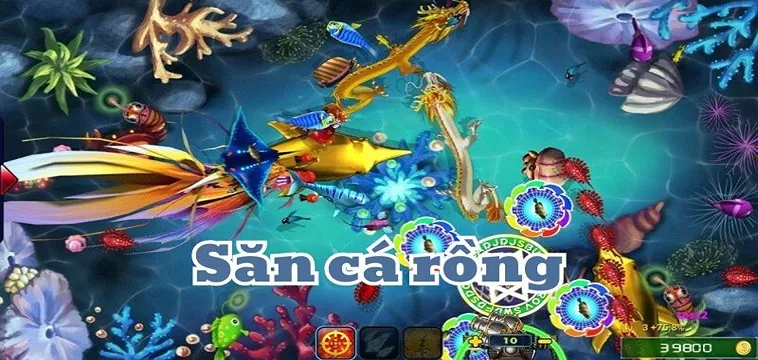 Hướng Dẫn Chơi Bắn Cá Rồng Tại DEWABET Hiệu Quả 10 Hướng Dẫn Chơi Bắn Cá Rồng Tại DEWABET Hiệu Quả