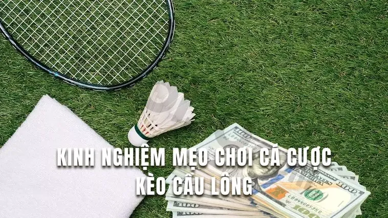 Cách Chơi Cá Cược Cầu Lông Tại DEWABET: Hướng Dẫn Chi Tiết